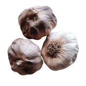 Black Garlic - Hel - EKO - Storpack - 12 st