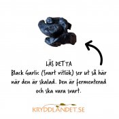 Black Garlic - Hel - EKO - Storpack - 12 st