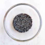 Vallmofrön Blå - Poppy Seeds